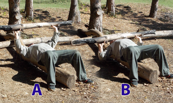 Cvik - Bench - press - outdoor