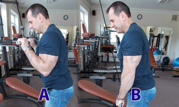 Cvik - Tricepsová kladka s rovným  držadlom v stoji