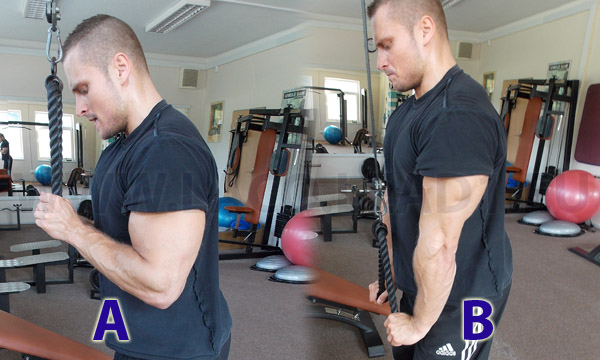 Cvik - Tricepsová kladka s  lanovým držadlom v stoji